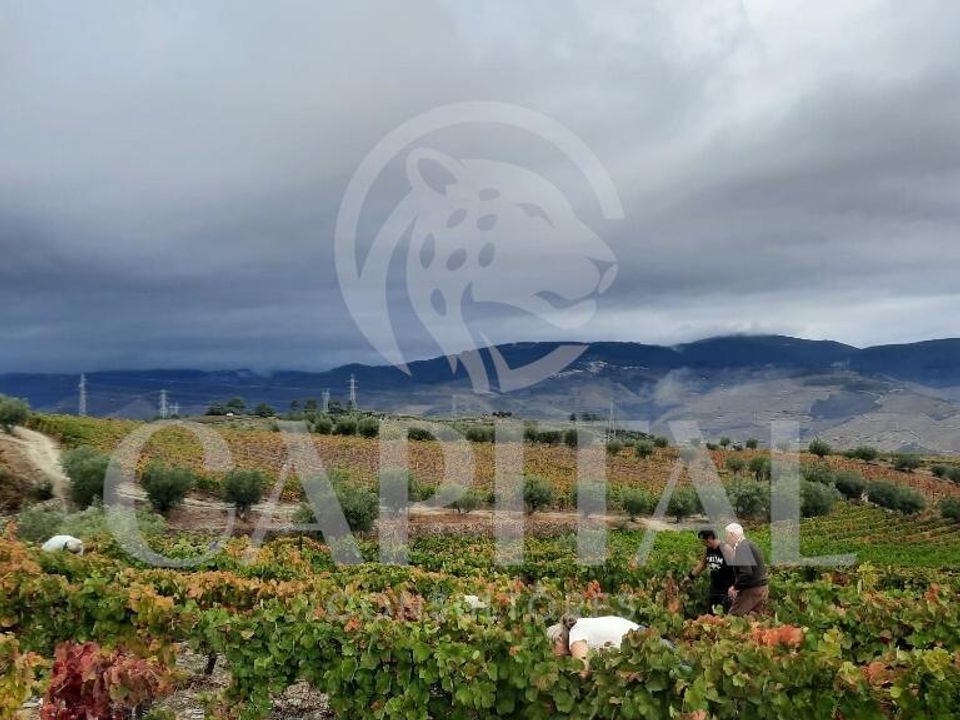 Helårsgrund i Tabuaco, Viseu - foto 3