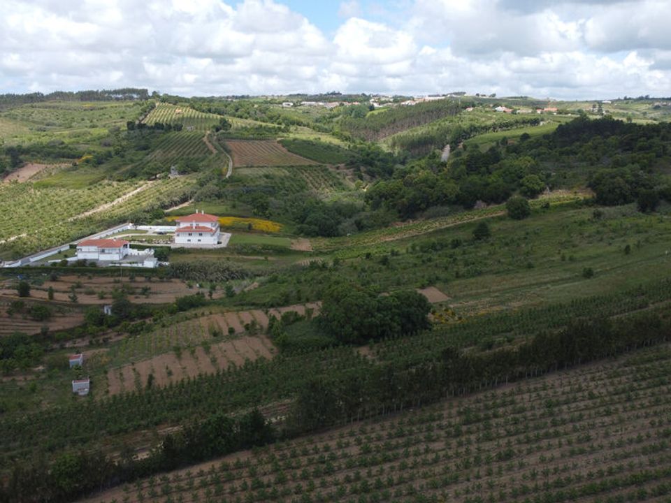 Helårsgrund i Bombarral, Leiria - foto 4