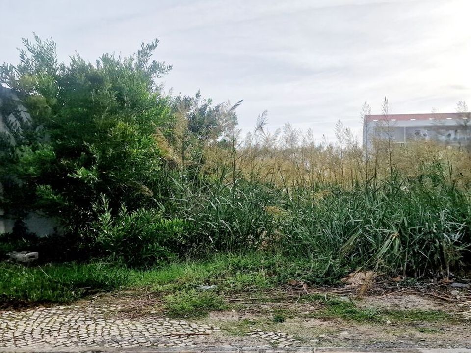 Helårsgrund i Torres Vedras, Lisbon - foto 3