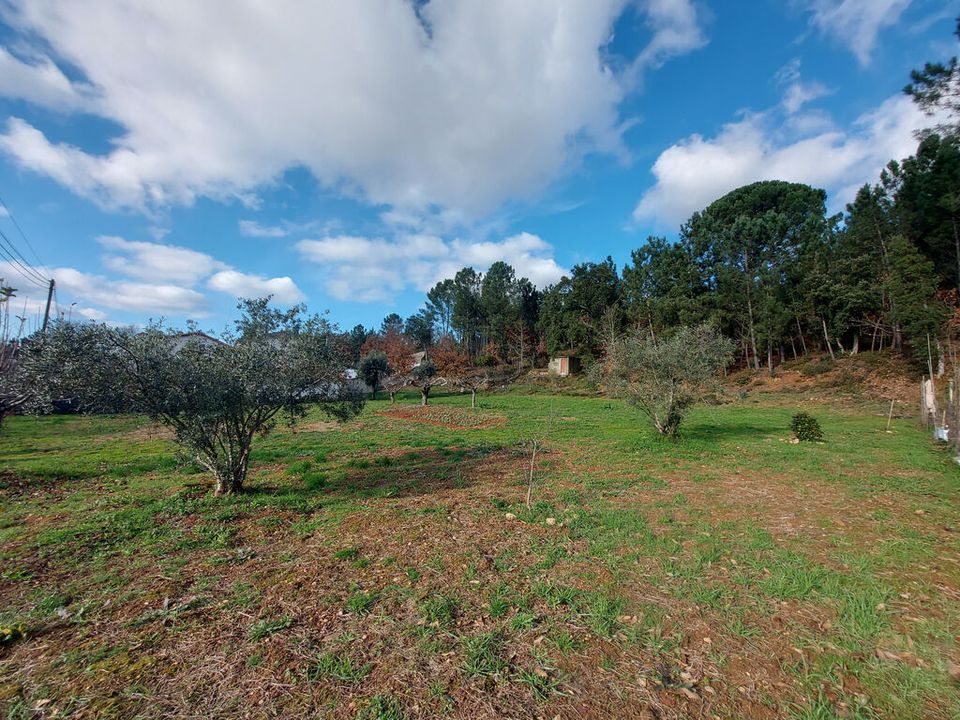 Tomt i Arganil, Coimbra - bilde 2