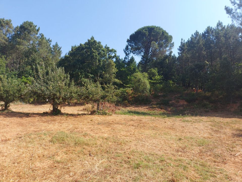 Tomt i Arganil, Coimbra - bilde 4