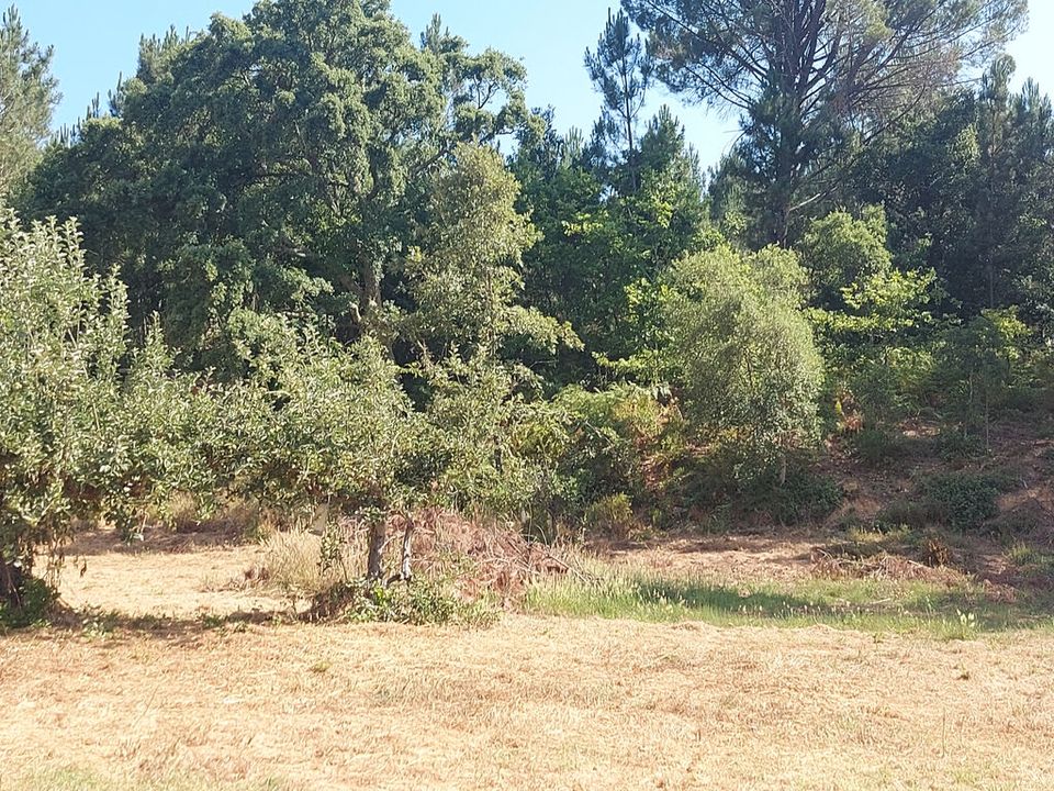 Tomt i Arganil, Coimbra - bilde 5