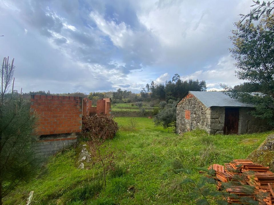 Farm i Tabua, Coimbra - foto 2