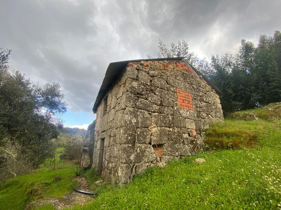 Farm i Tabua, Coimbra - foto 3