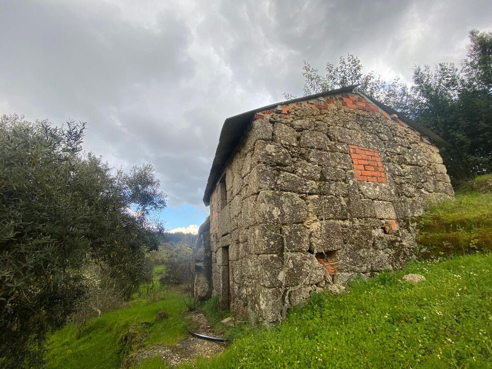 Farm i Tabua, Coimbra - foto 4