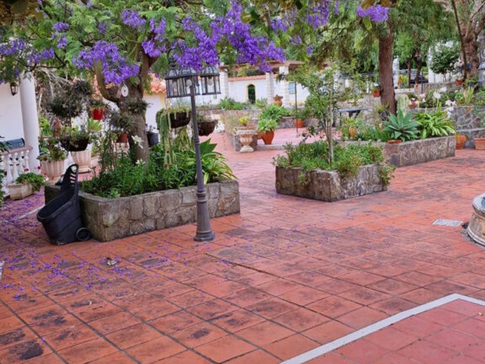 Farm i Cartaxo, Santarem - foto 3