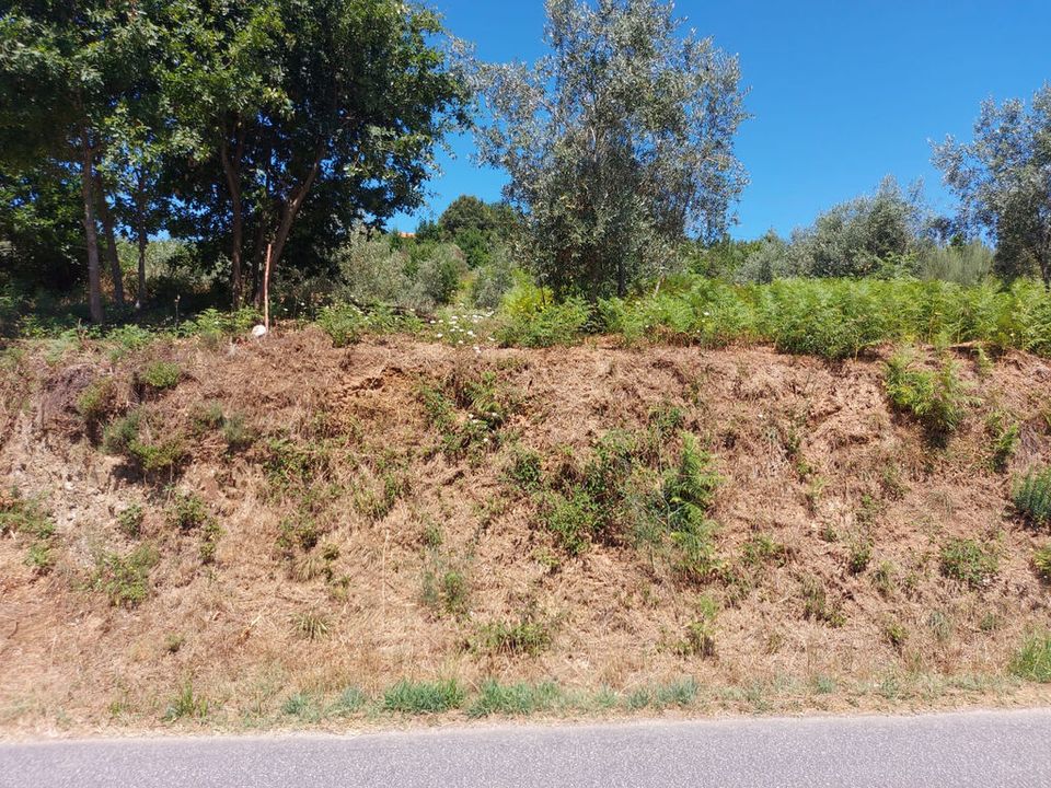 Helårsgrund i Arganil, Coimbra - foto 2