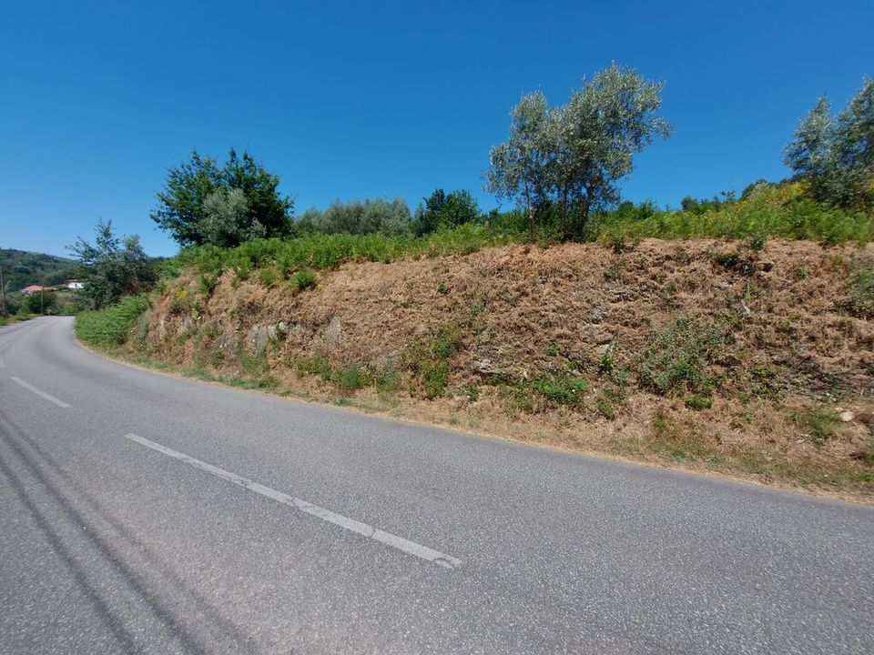 Helårsgrund i Arganil, Coimbra - foto 5