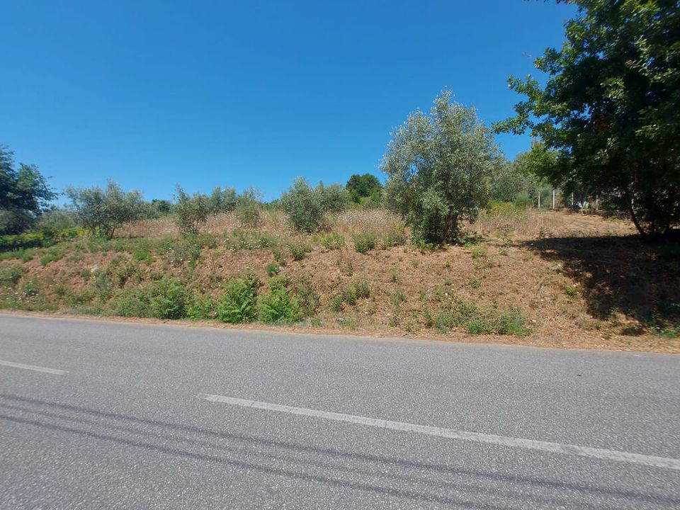 Helårsgrund i Arganil, Coimbra - foto 2