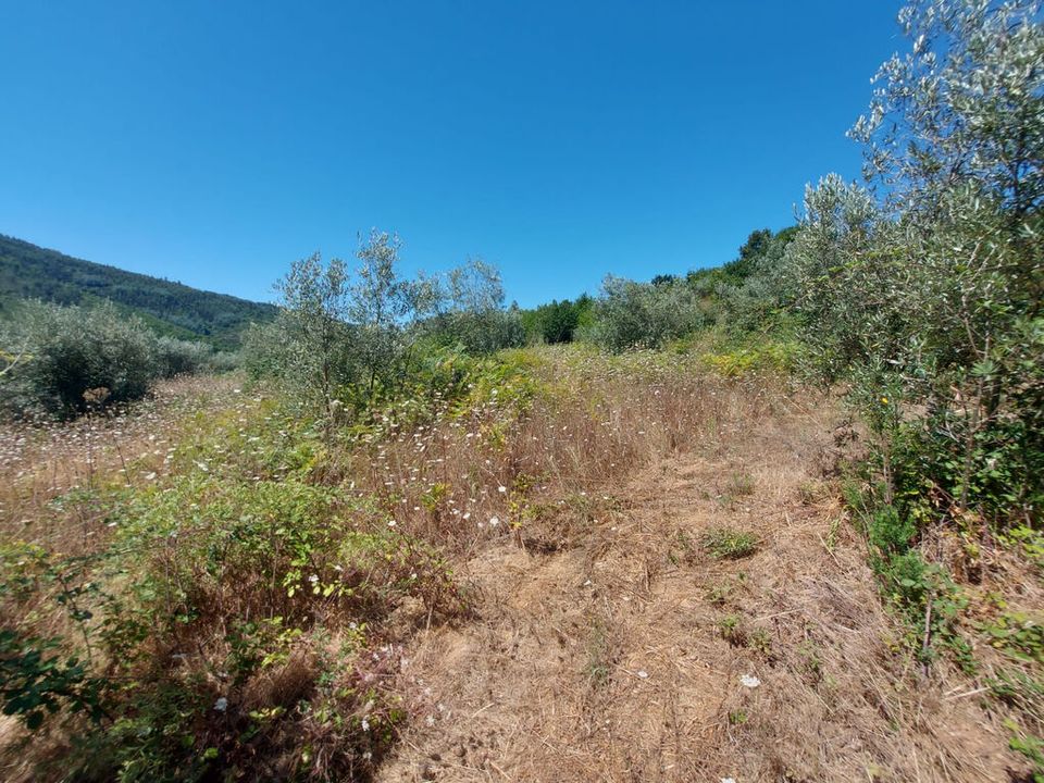 Helårsgrund i Arganil, Coimbra - foto 3