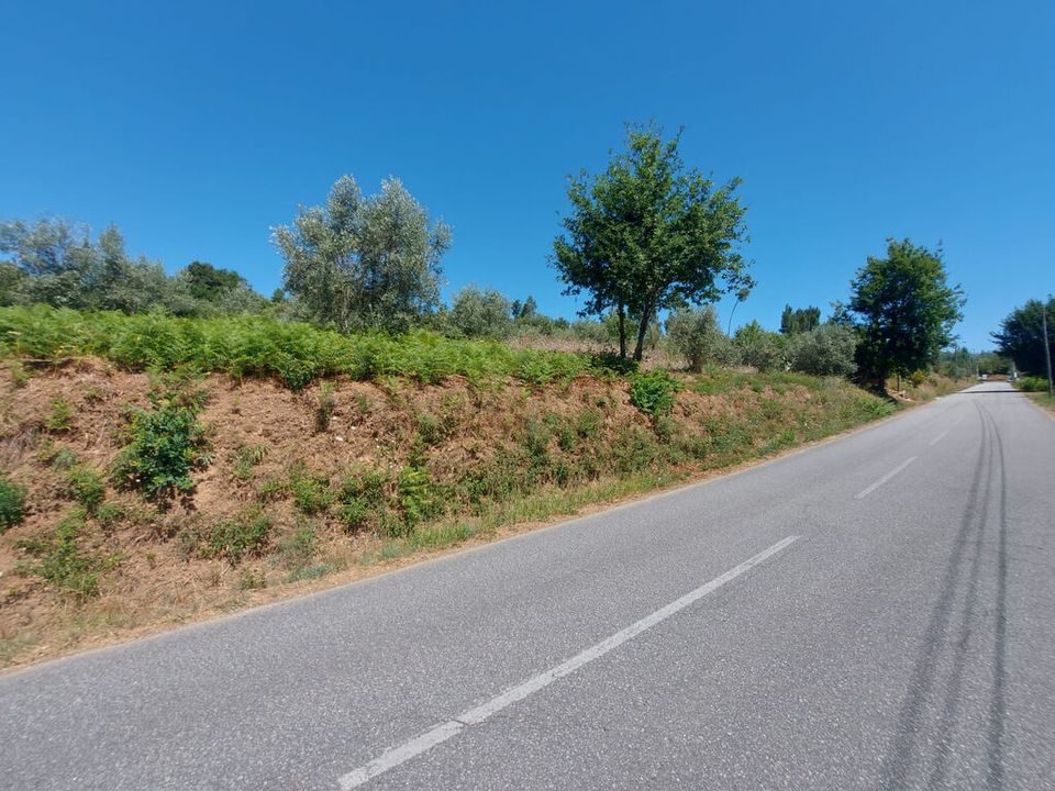 Helårsgrund i Arganil, Coimbra - foto 5
