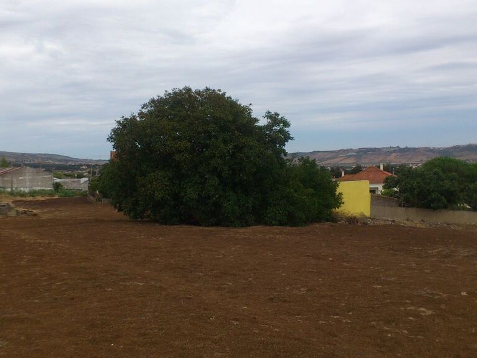 Helårsgrund i Loures, Lisbon - foto 5