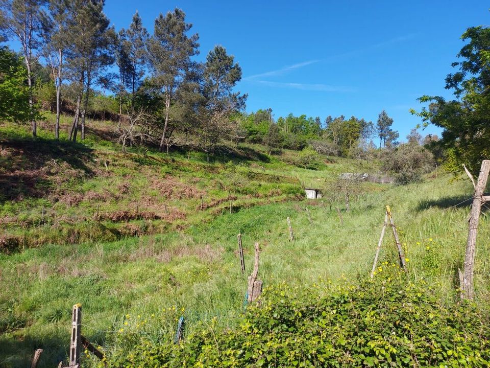 Tomt i Arganil, Coimbra - bilde 2