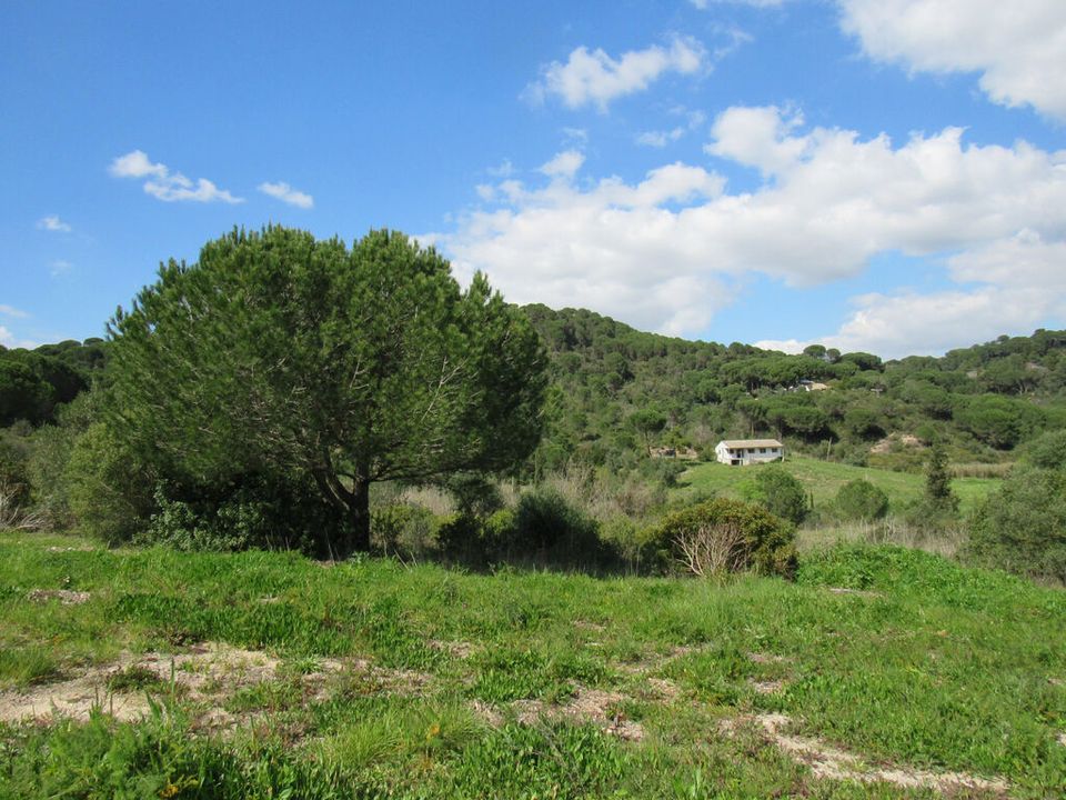 Helårsgrund i Setubal, Setubal - foto 3