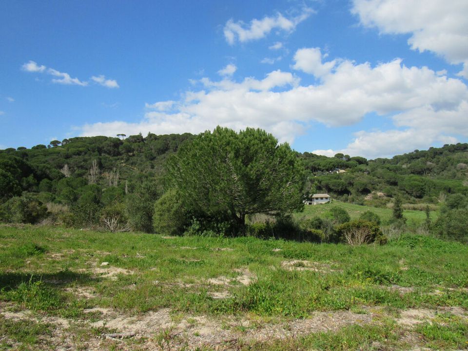 Helårsgrund i Setubal, Setubal - foto 4