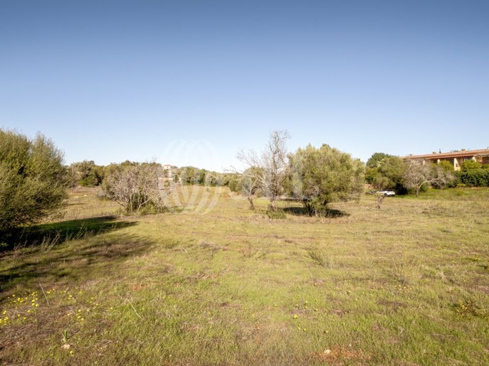 Farm i Armacao de Pera, Faro - foto 2