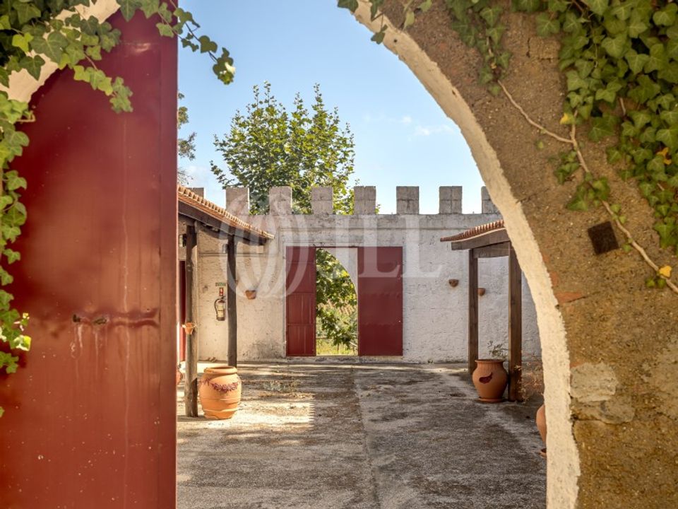 Farm i Dois Portos, Lisbon - foto 1