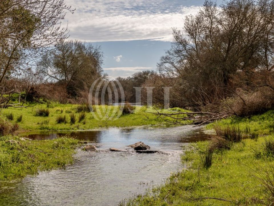 Masia a Ourique, Beja - foto 1