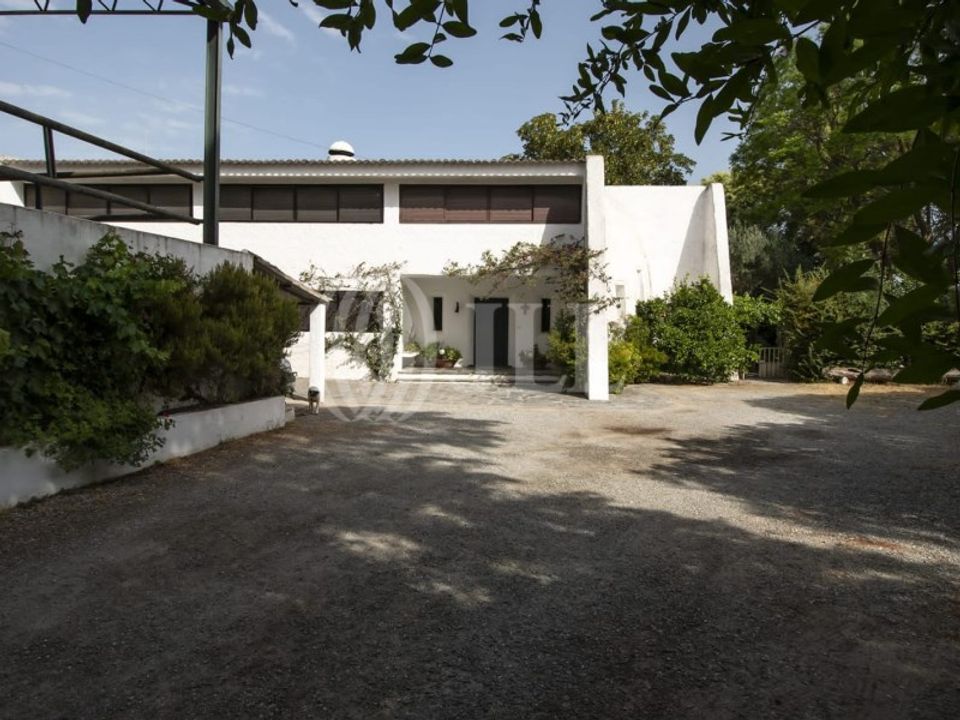 Farm i Moura, Beja - foto 2