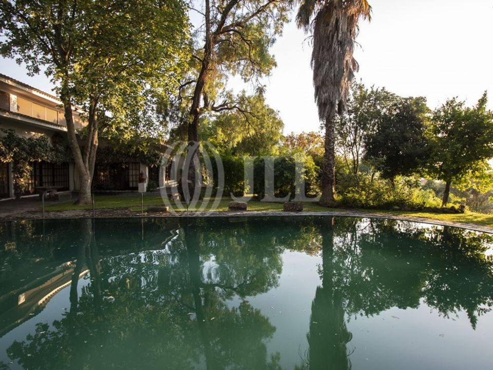 Farm i Moura, Beja - foto 3
