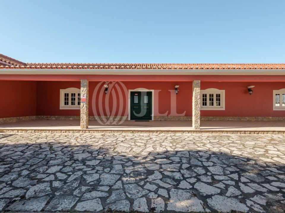 Farm i Torres Vedras, Lisbon - foto 3