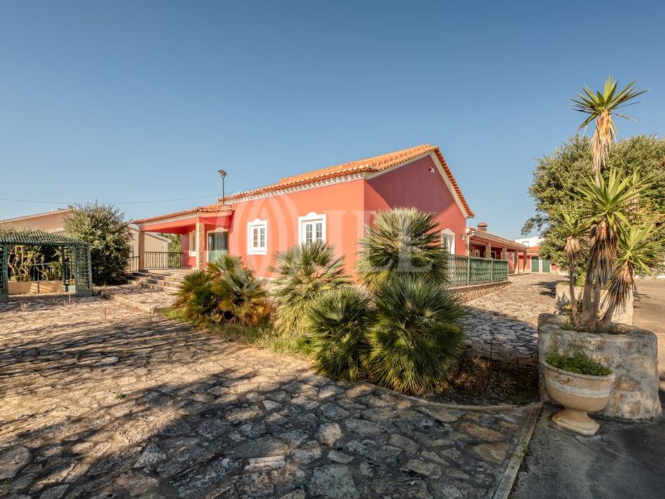 Farm i Torres Vedras, Lisbon - foto 5