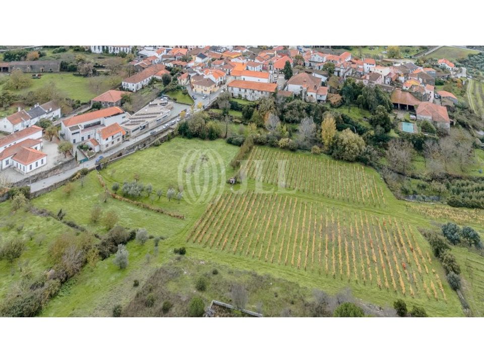 Farm i Sao Joao da Pesqueira, Viseu - foto 3