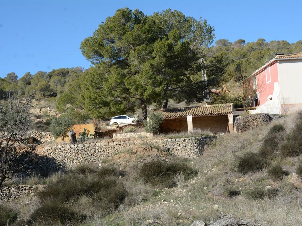 Landejendom i Monovar, Alicante - foto 5