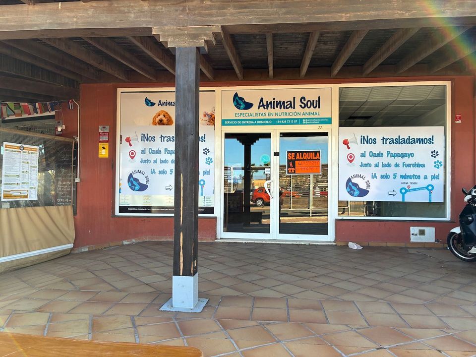 Erhvervsejendom i Corralejo, Fuerteventura - foto 5