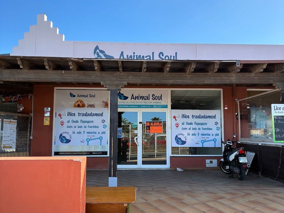 Erhvervsejendom i Corralejo, Fuerteventura - foto 4