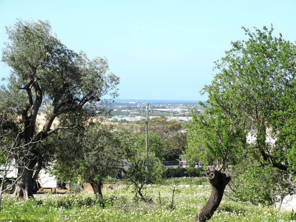 Helårsgrund i Faro, Faro - foto 1