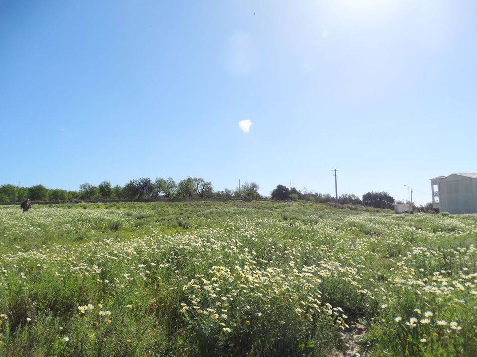 Helårsgrund i Faro, Faro - foto 3