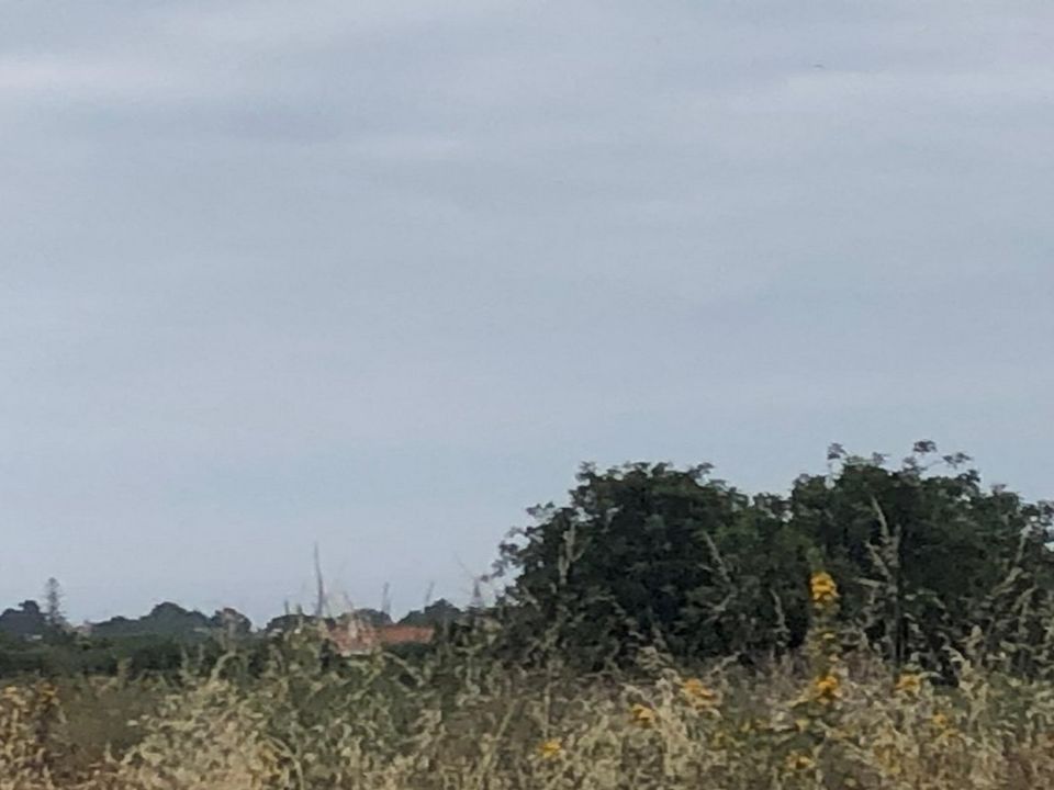 Helårsgrund i Silves, Faro - foto 4
