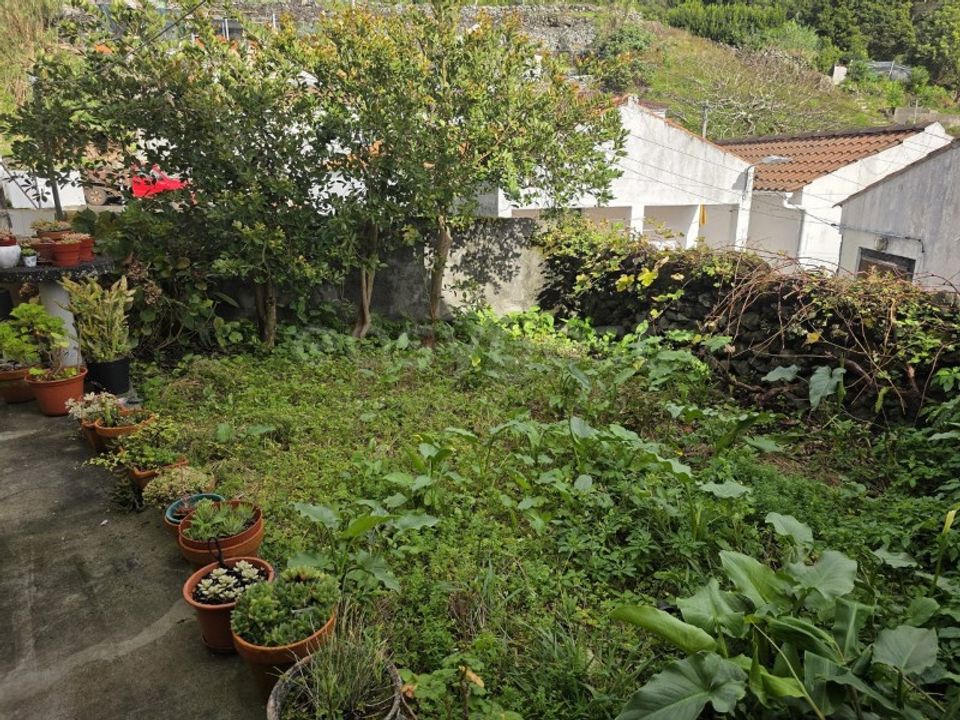 Villa i Lajes do Pico, Pico - foto 5