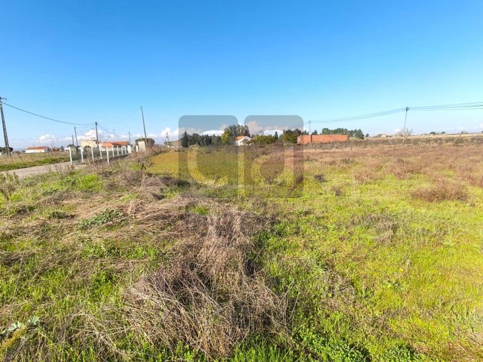 Helårsgrund i Alpiarca, Santarem - foto 5