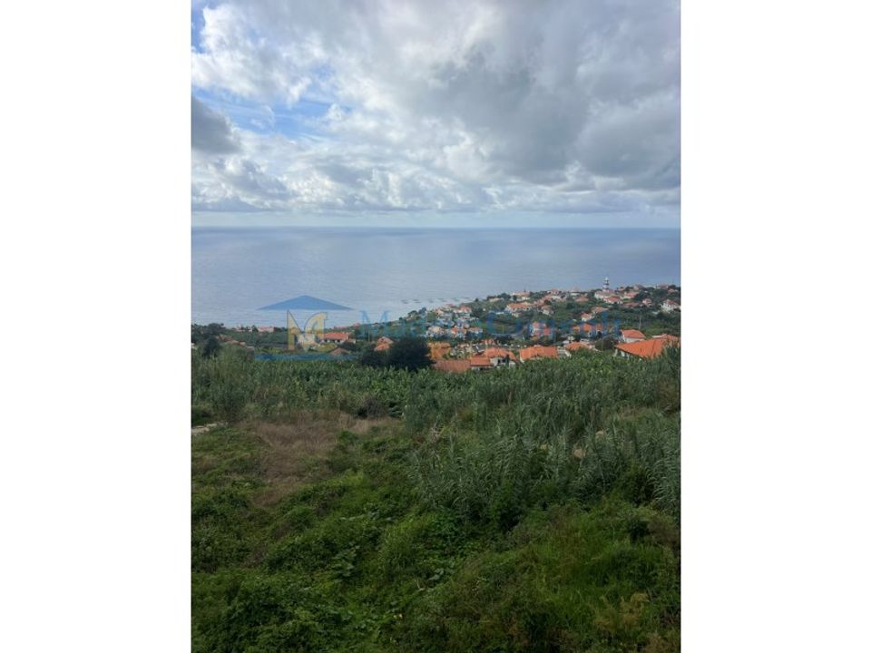Helårsgrund i Arco da Calheta, Madeira - foto 4