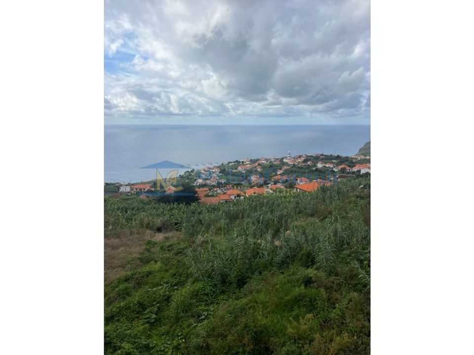 Helårsgrund i Arco da Calheta, Madeira - foto 5