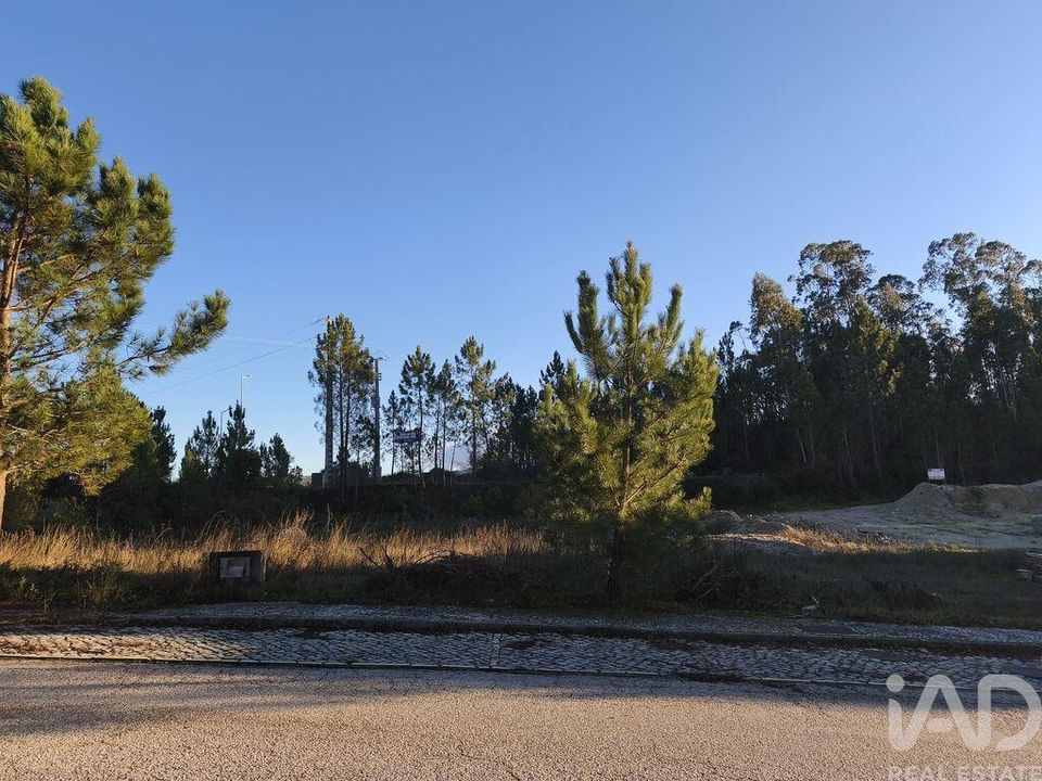 Helårsgrund i Ansiao, Leiria - foto 1