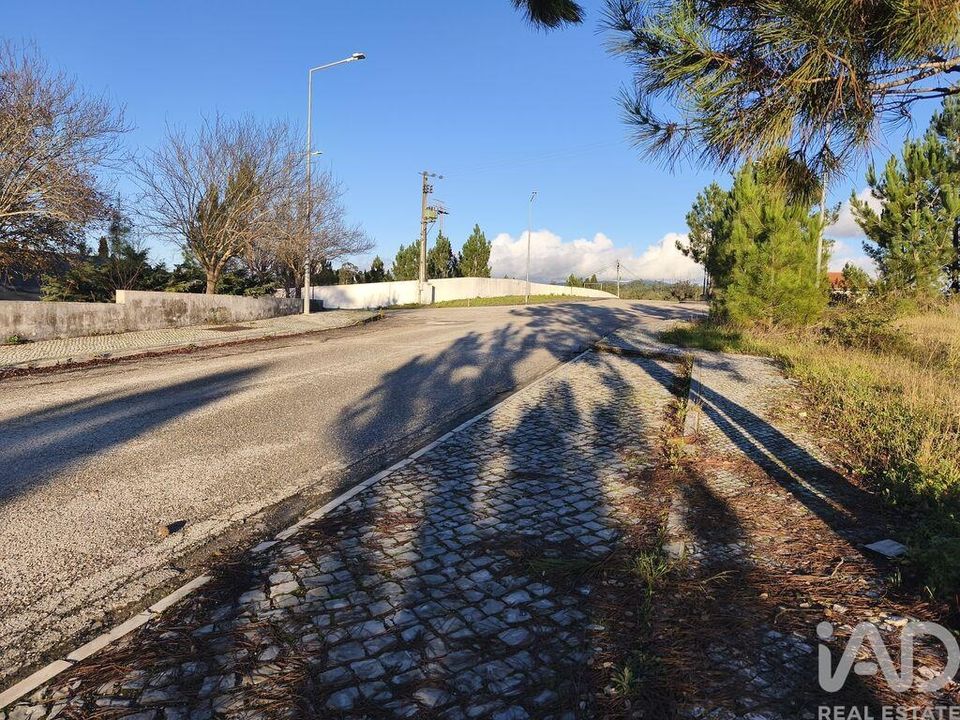 Helårsgrund i Ansiao, Leiria - foto 3