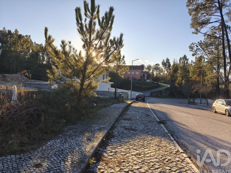 Helårsgrund i Ansiao, Leiria - foto 4