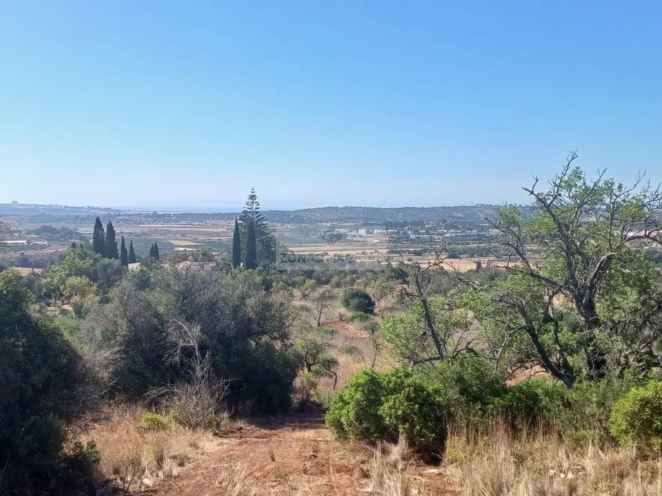 Terra a Lagos, Faro - foto 5