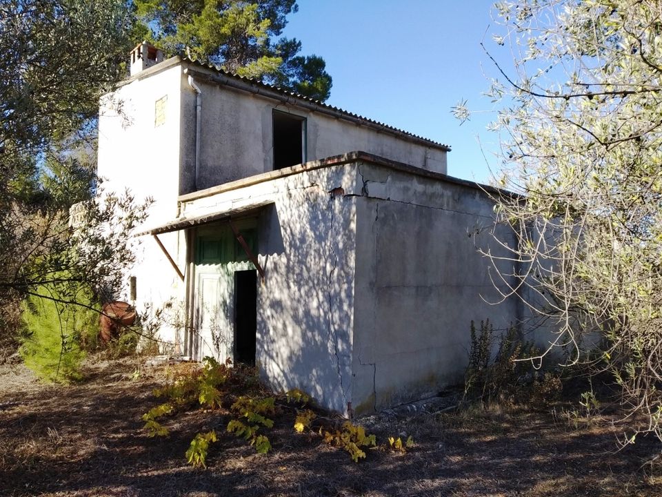 Tomt i Benimarfull, Alicante - bilde 2
