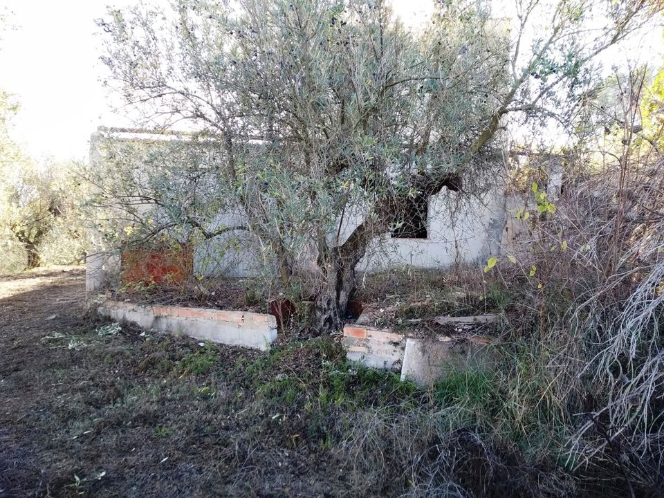 Tomt i Benimarfull, Alicante - bilde 5