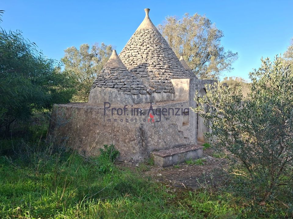 Landejendom i San Vito dei Normanni, Brindisi - foto 4