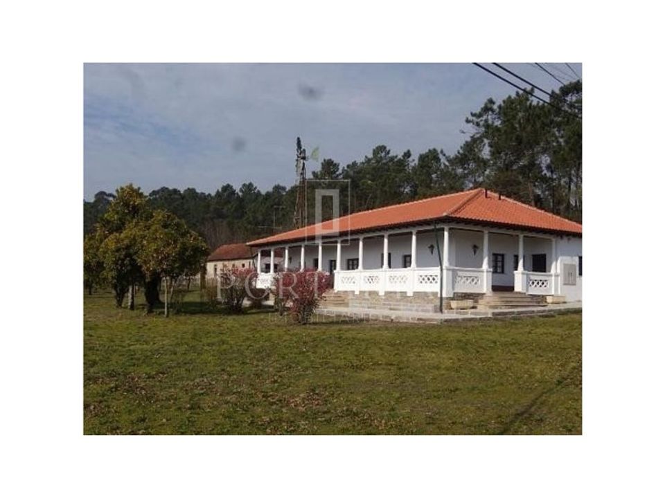 Farm i Vila Verde, Braga - foto 5