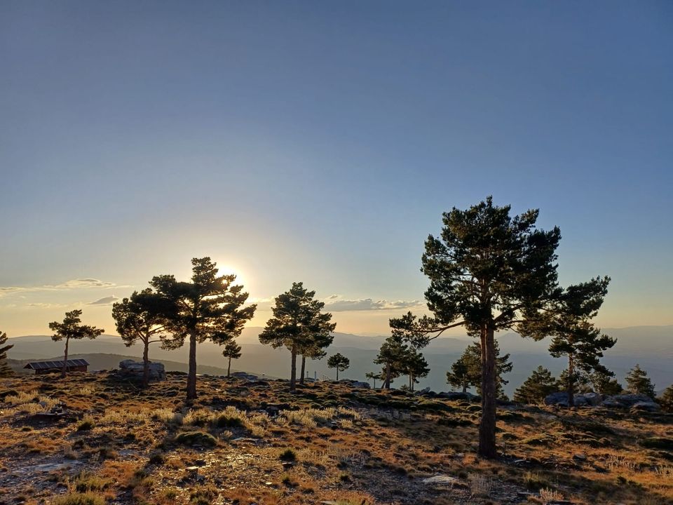 Finca i Albatera, Alicante - foto 5