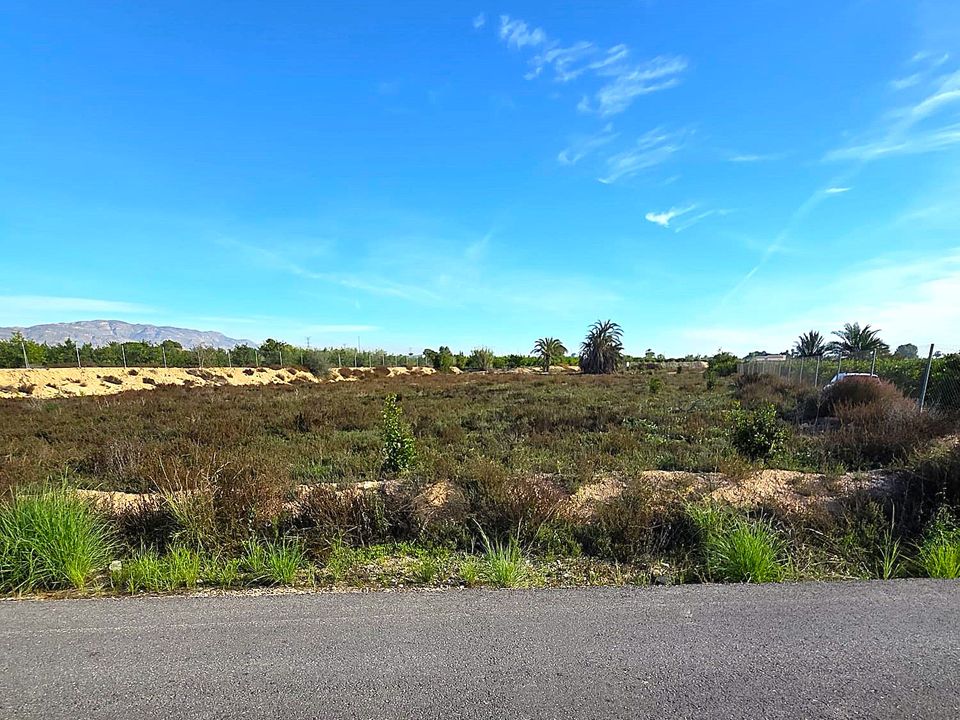 Finca i Albatera, Alicante - foto 2