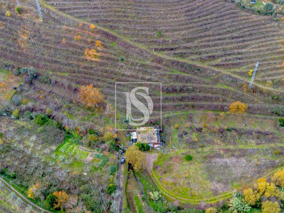 Helårsgrund i Lamego, Viseu - foto 5