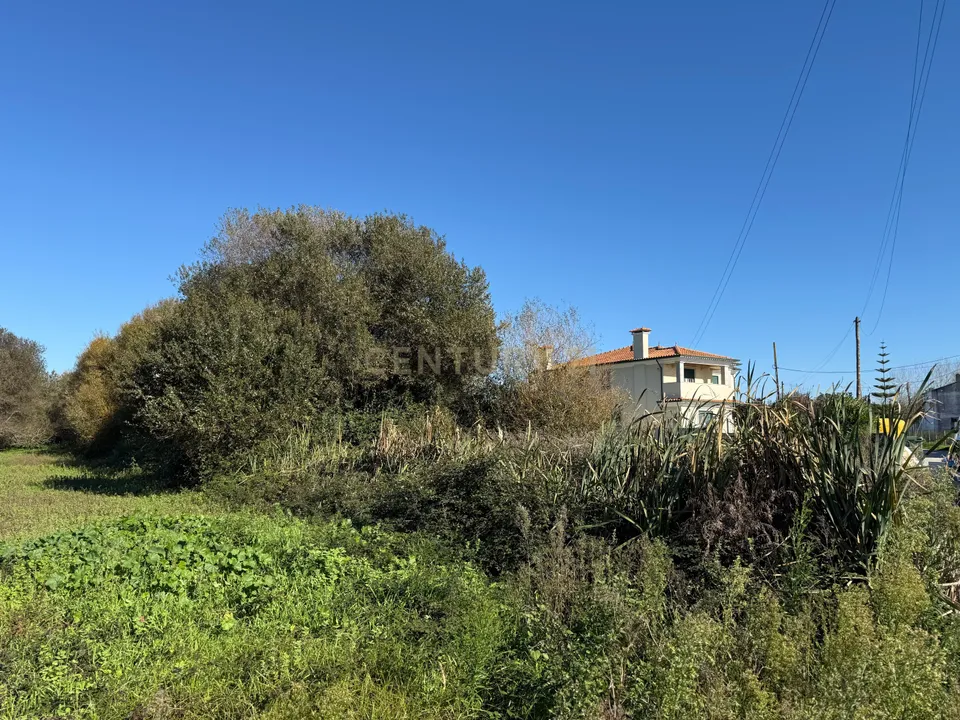 Helårsgrund i Ilhavo, Aveiro - foto 1