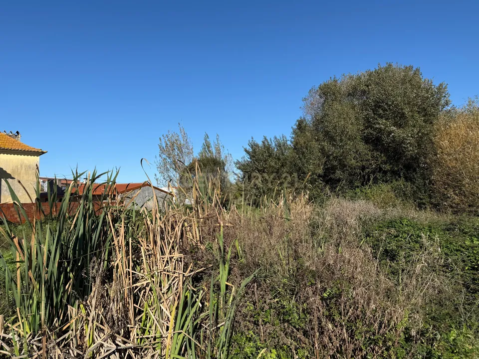 Helårsgrund i Ilhavo, Aveiro - foto 5
